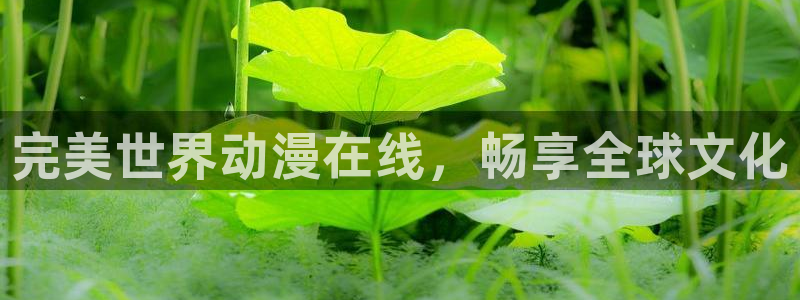 囧次元是哪个公司的