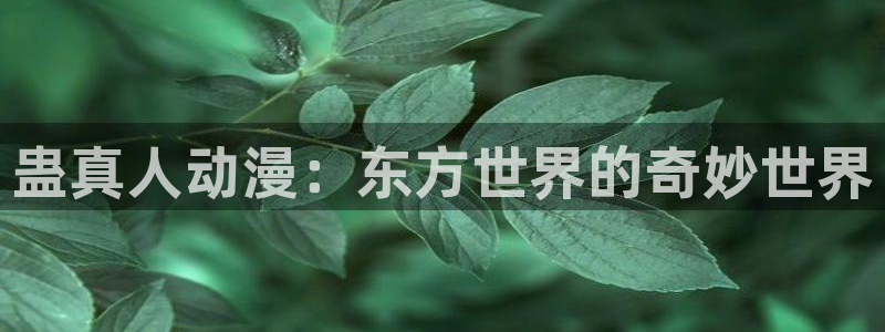 囧次元安卓版下载